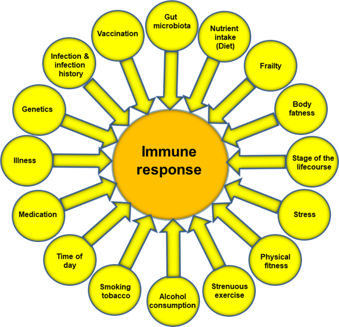 41430 2021 949 Fig3 HTML